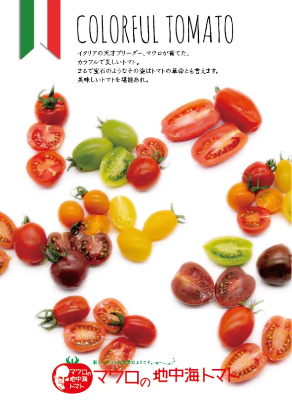 サムネイル