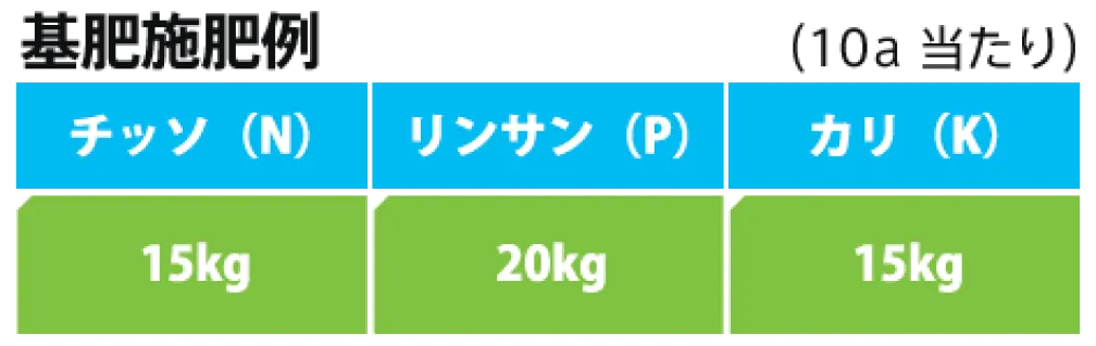 ソバージュ栽培