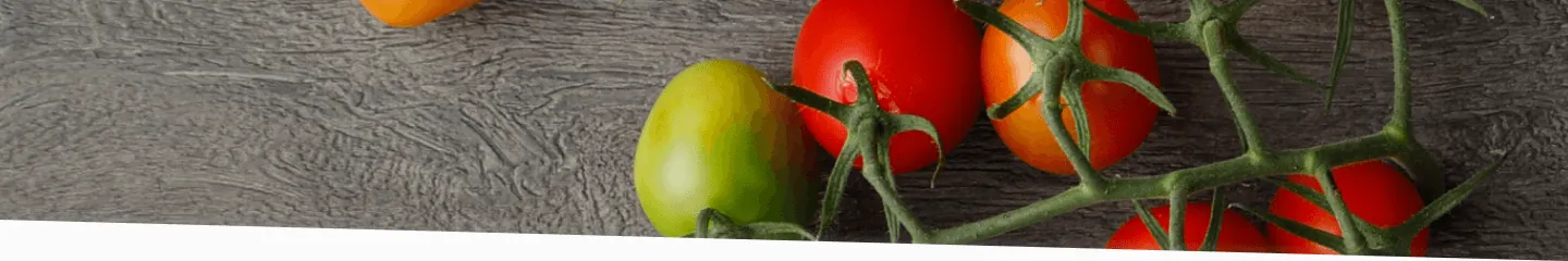 ファーストビュー