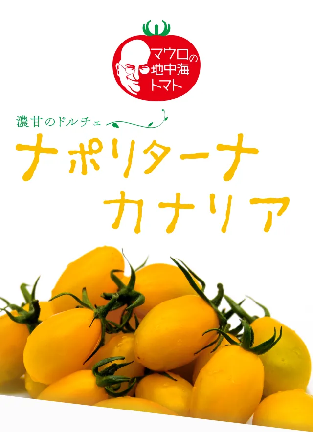 ファーストビュー