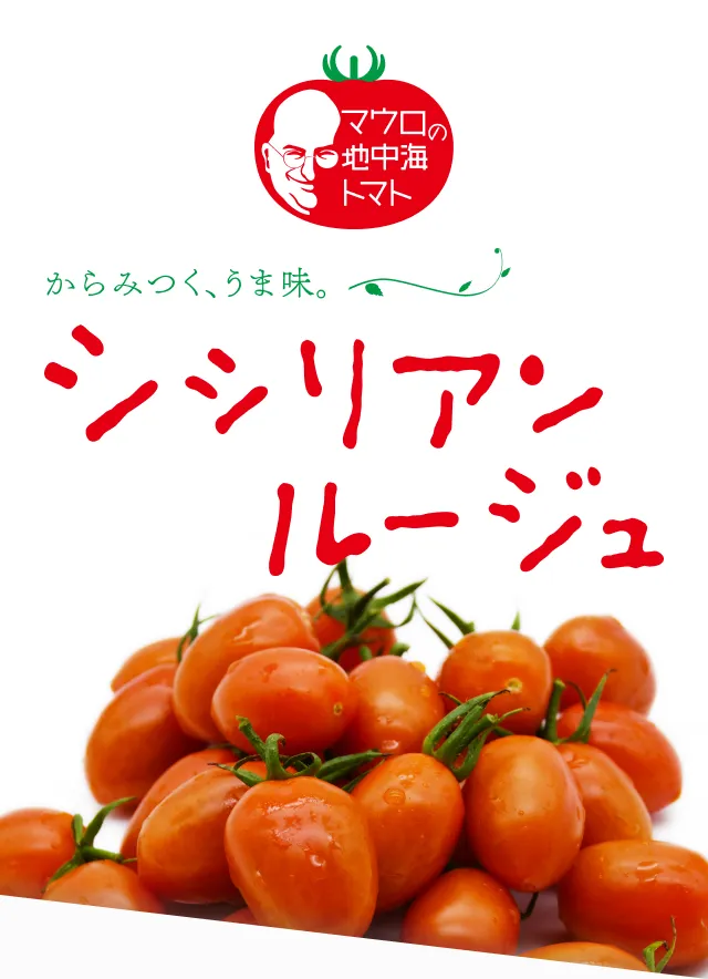 ファーストビュー