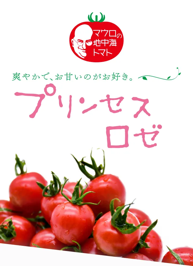 ファーストビュー