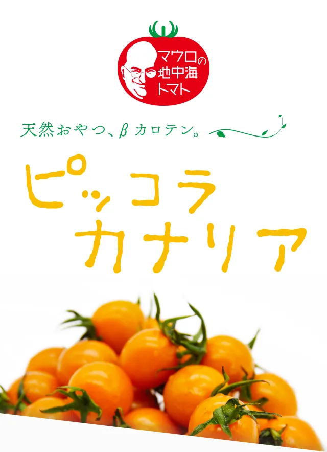 ファーストビュー