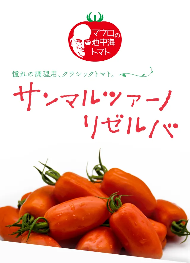 ファーストビュー
