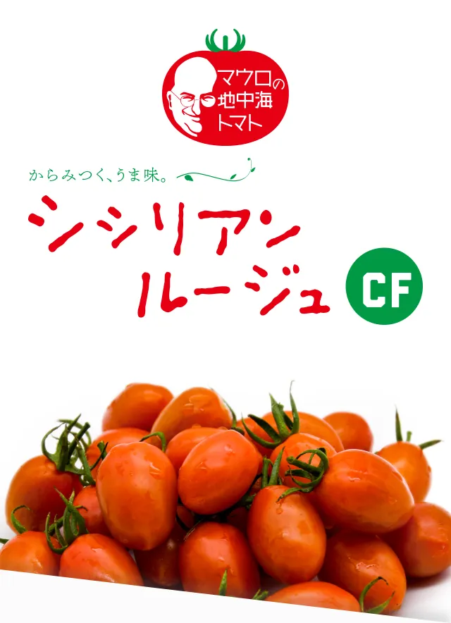 ファーストビュー