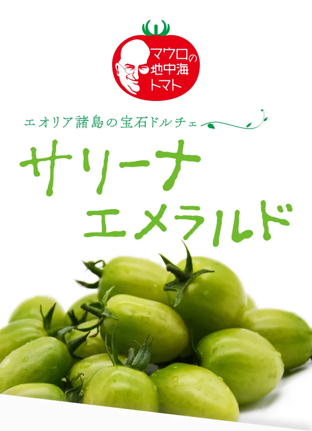 ファーストビュー