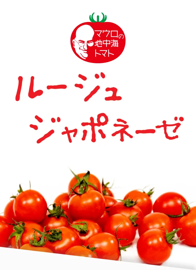 ファーストビュー