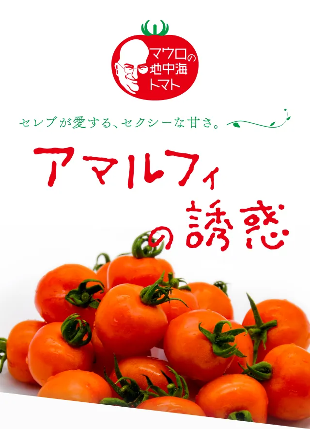 ファーストビュー