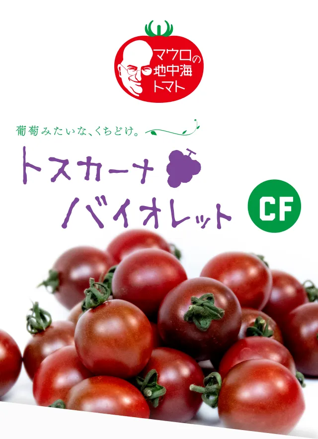 ファーストビュー