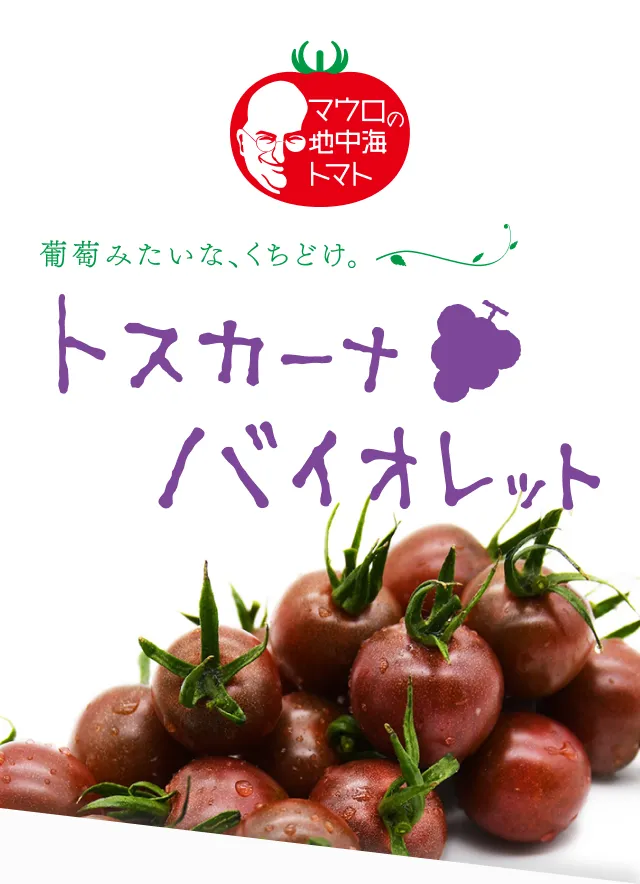ファーストビュー