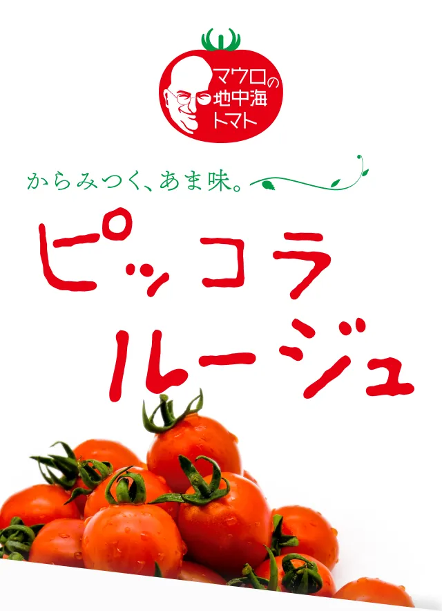 ファーストビュー