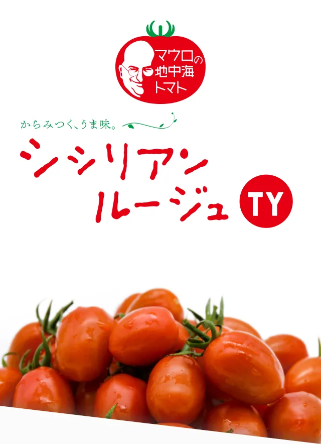 ファーストビュー