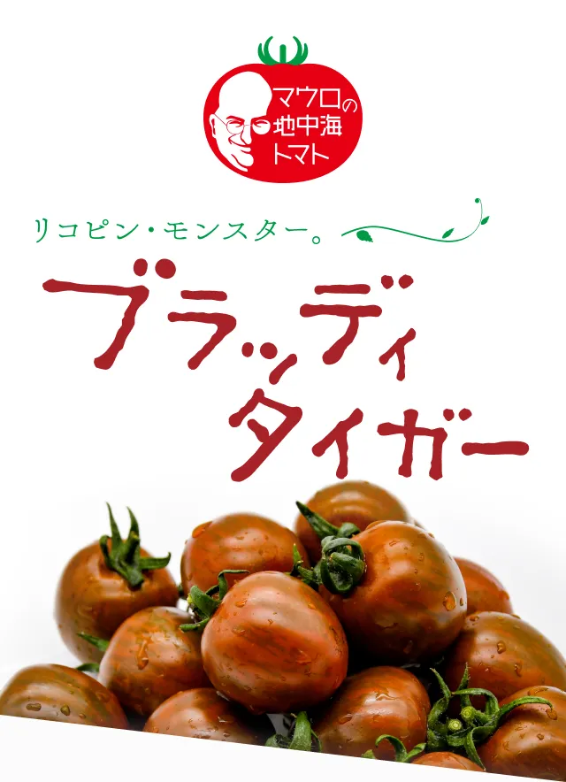ファーストビュー