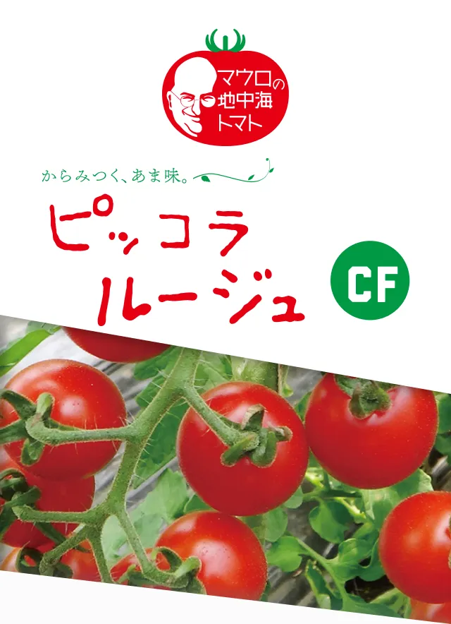 ファーストビュー