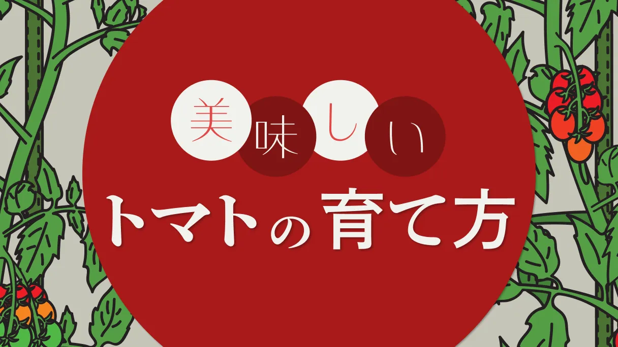 トマト栽培マニュアル