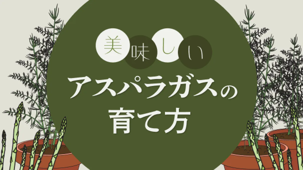 アスパラガス栽培マニュアル
