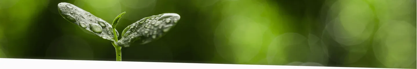 ファーストビュー