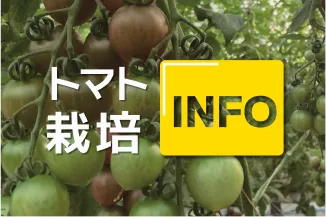 リンクカード画像