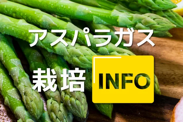 リンクカード画像