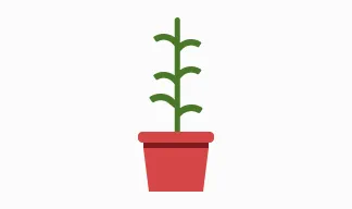 リンクカード画像