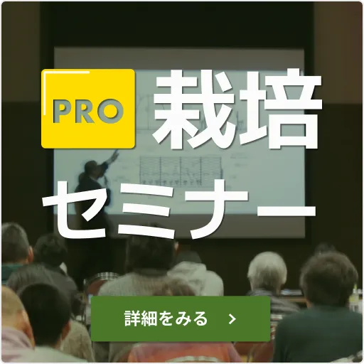 seminar