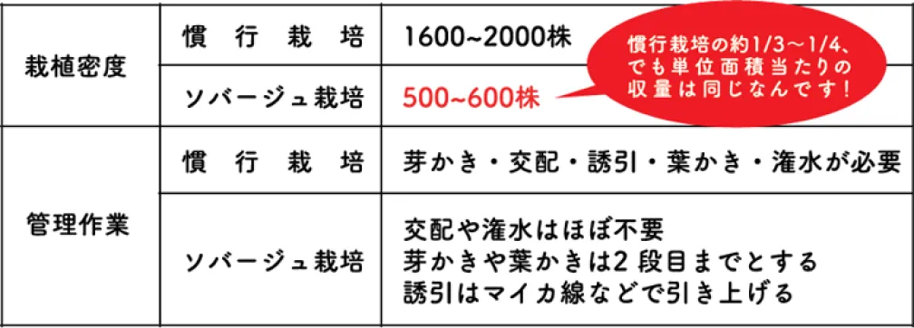 ソバージュ栽培