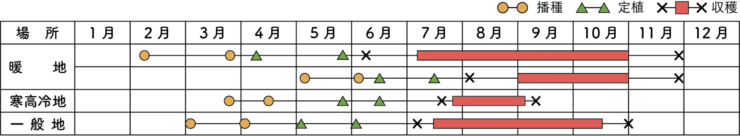 ソバージュ栽培