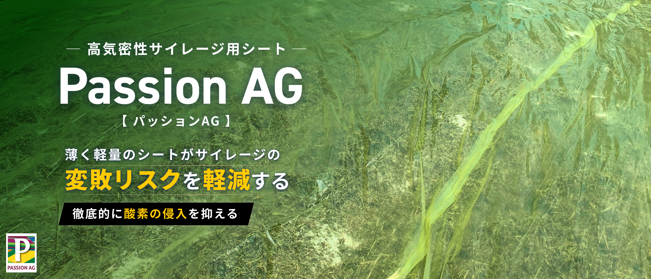 パッションAGキービジュアル